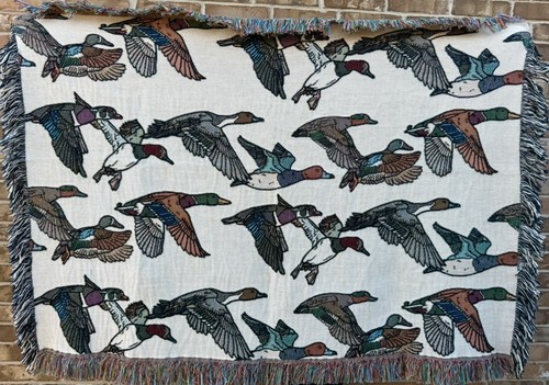The migration duck - migration,